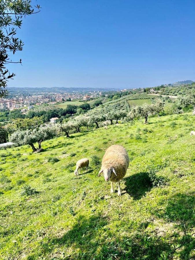 Mirabel Daire Chieti Dış mekan fotoğraf